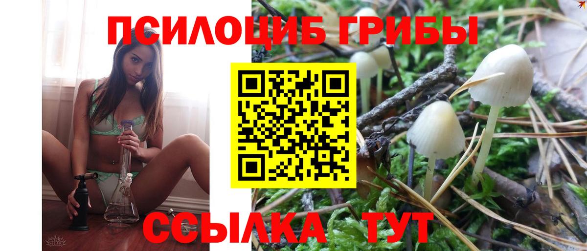 Псилоцибиновые грибы MAGIC MUSHROOMS Черногорск